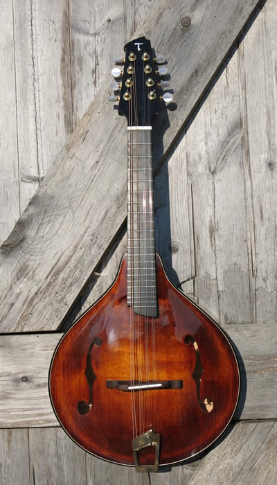 Mandolins