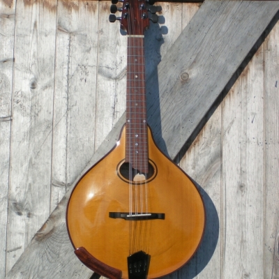 Handmade Mandolins : <p>MVI Oval</p>
