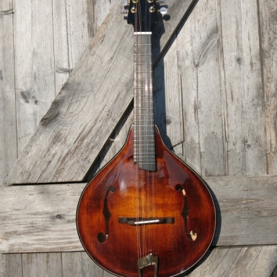 Handmade Mandolins : <p>MVI-f</p>
