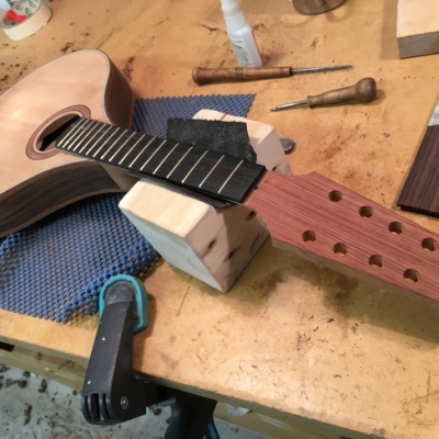 Stringed Instrument Workshop : <p>Paul C has been making an A-style mandolin.</p>
