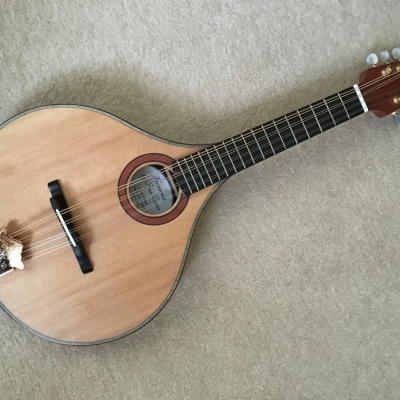 Stringed Instrument Workshop : <p>Paul's completed A-style mandolin with a sitka spruce top, Indian rosewood sides and back and an ebony neck.</p>
