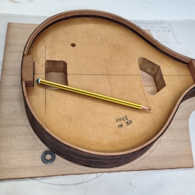 Stringed Instrument Workshop : <p>Paul C has been making an A-style mandolin.</p>
