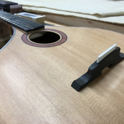 Stringed Instrument Workshop : <p>Paul C has been making an A-style mandolin.</p>

