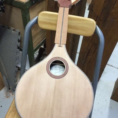 Stringed Instrument Workshop : <p>Paul C has been making an A-style mandolin.</p>

