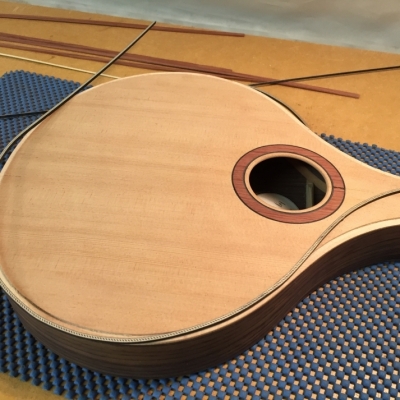 Stringed Instrument Workshop : <p>Paul C has been making an A-style mandolin.</p>
