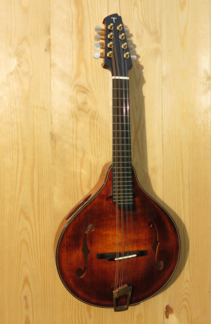 The f-hole Mandolin MVI
