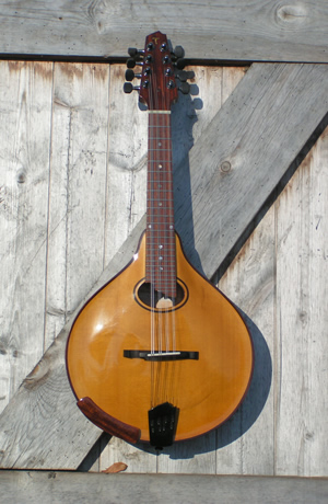 The central oval hole Mandolin MVI
